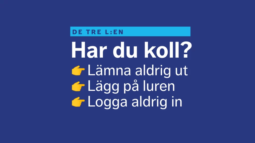 De tre L:en – Lämna aldrig ut, Lägg på luren, Logga aldrig in.